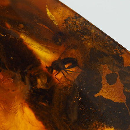 Naszyjnik  na rzemieniu -  przezroczysty Bursztyn z gałęzią oraz muchami