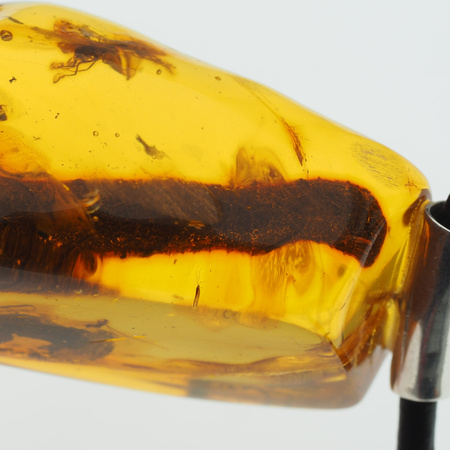 Naszyjnik  na rzemieniu -  przezroczysty Bursztyn z gałęzią oraz muchami