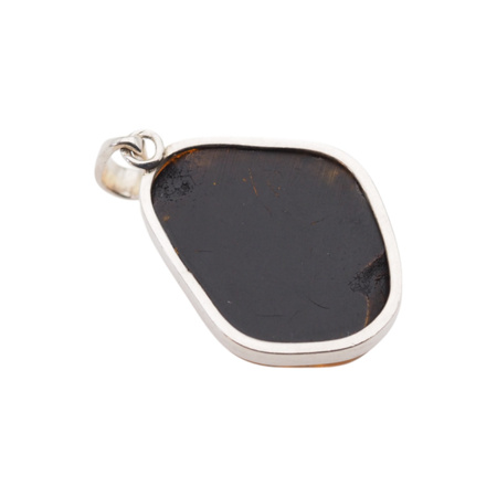 Zawieszka - Bursztyn z łuskami w srebrze 