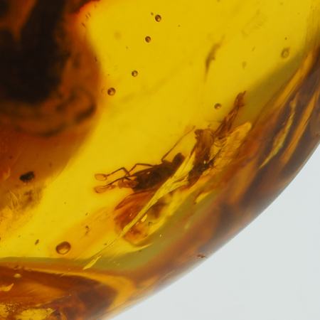 Naszyjnik  na rzemieniu -  przezroczysty Bursztyn z gałęzią oraz muchami