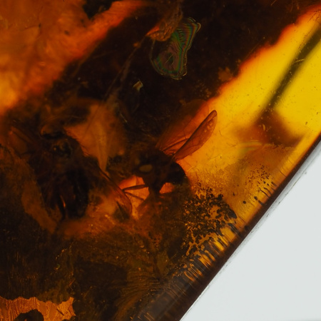 Naszyjnik  na rzemieniu -  przezroczysty Bursztyn z gałęzią oraz muchami