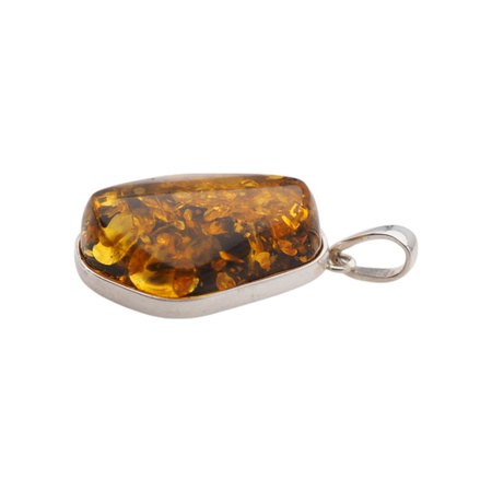 Zawieszka - Bursztyn z łuskami w srebrze 